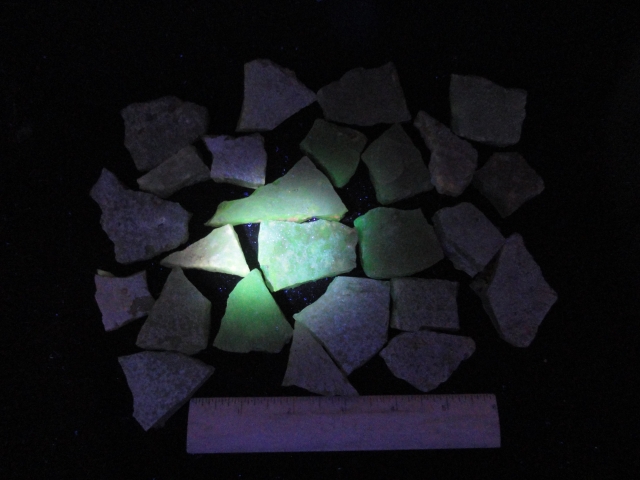 TUMBLE1049 - 5 POUNDS