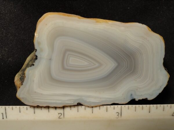 Botswana Agate