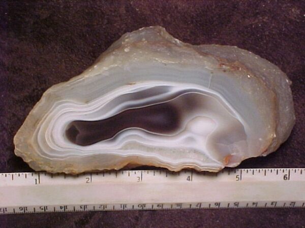 Botswana Agate