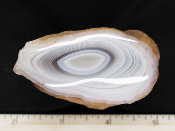 Botswana Agate