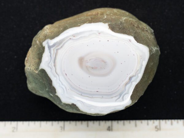 Botswana Agate