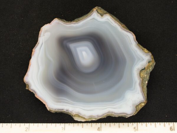 Botswana Agate