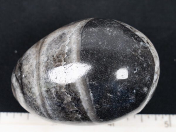 EGG101