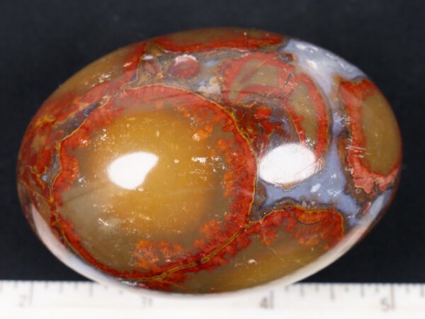EGG104