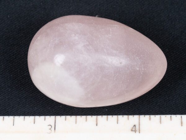 EGG105