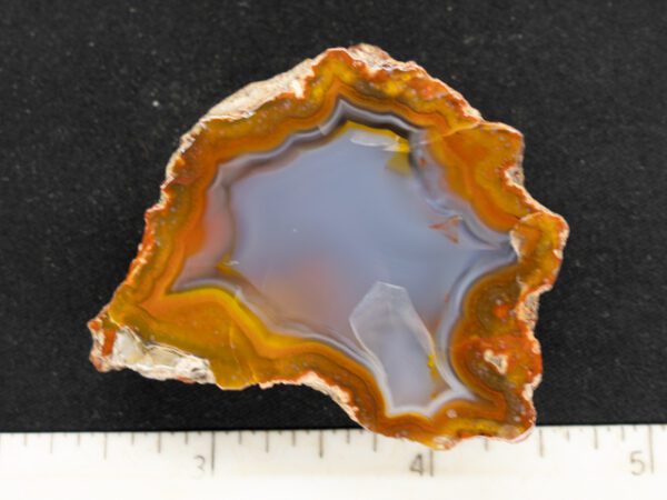 FIF221