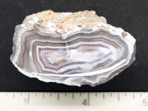 FIF256
