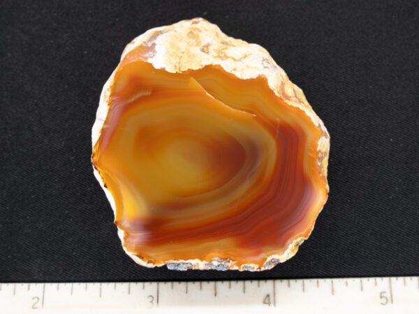 FIF277