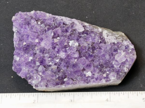 FIF297