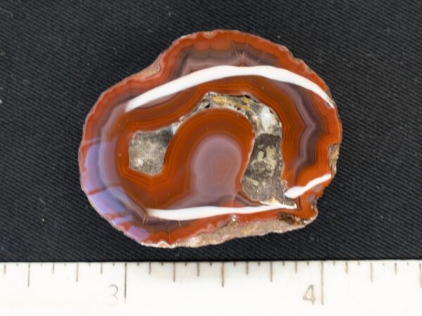 FIF312