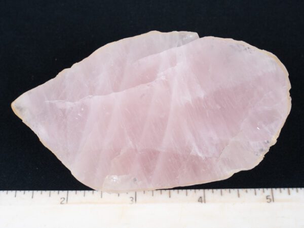 FIF353