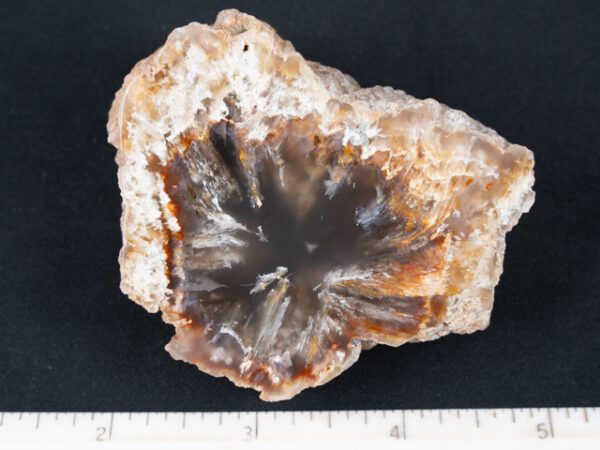 FIF354