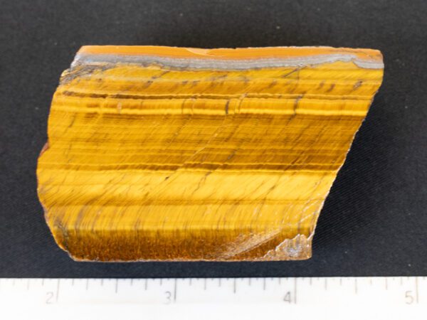 FIF390