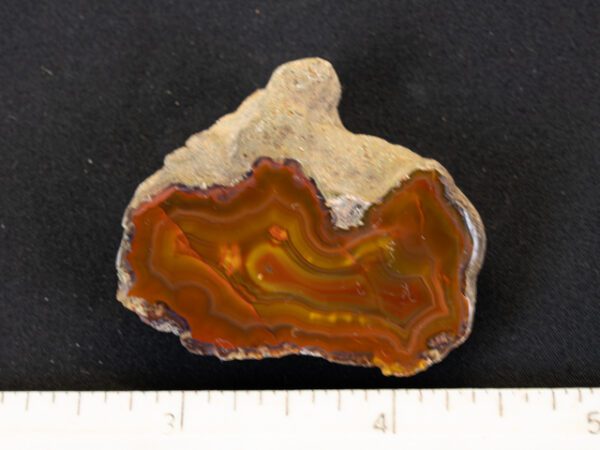 FIF422