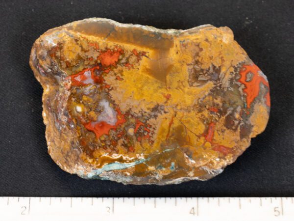 FIF429