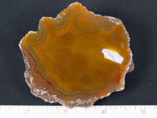 FIF438