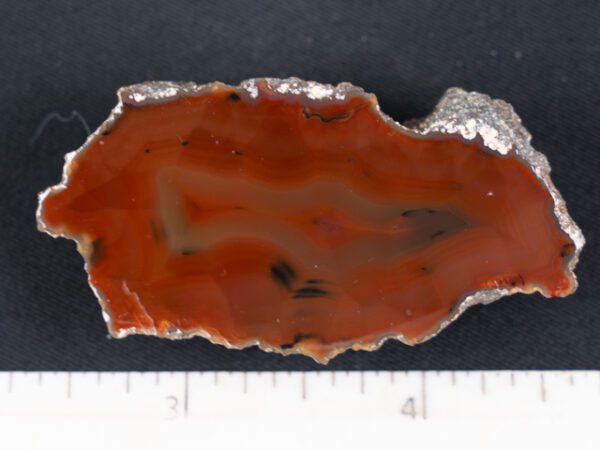 FIF450