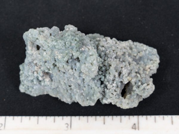 FIF453
