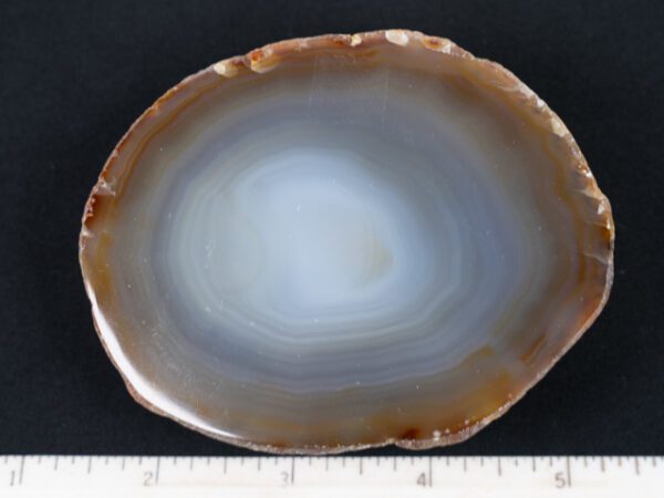 FIF457