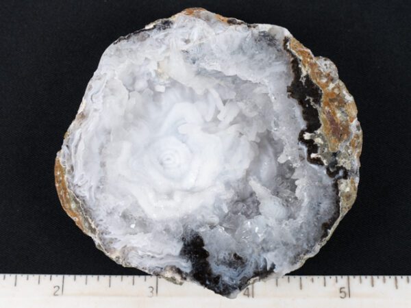 FIF475