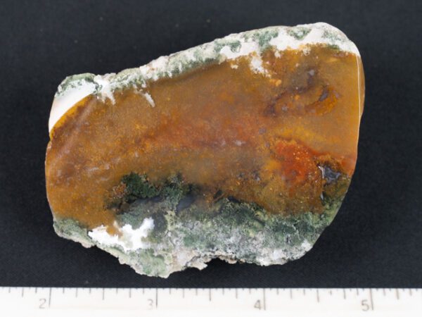 FIF476