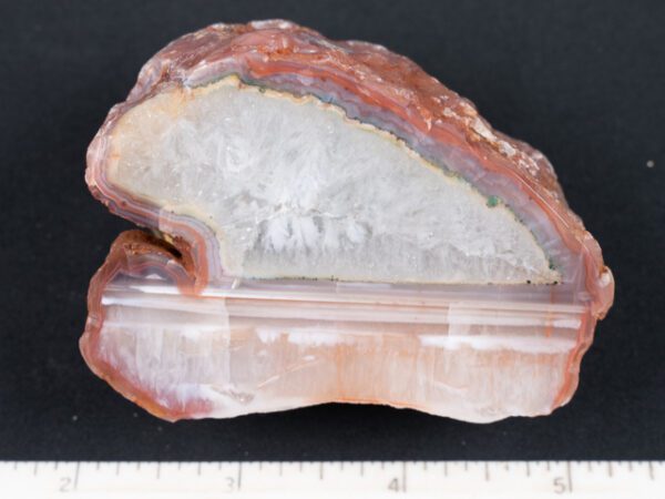 FIF482