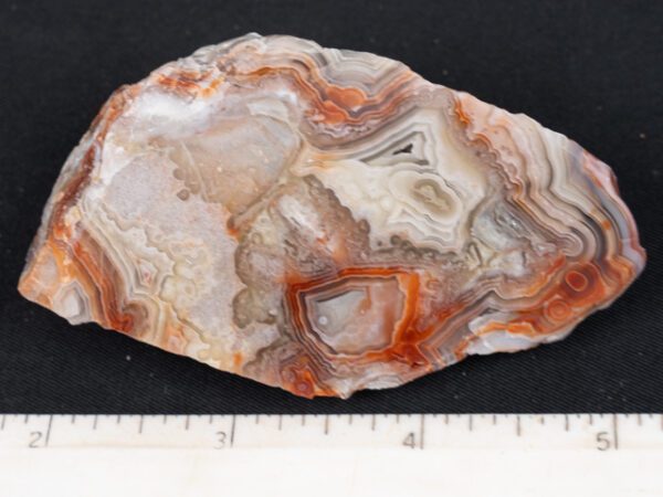FIF484