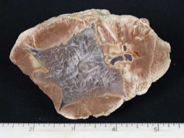 FIF487