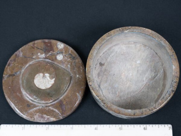 FOSSIL187