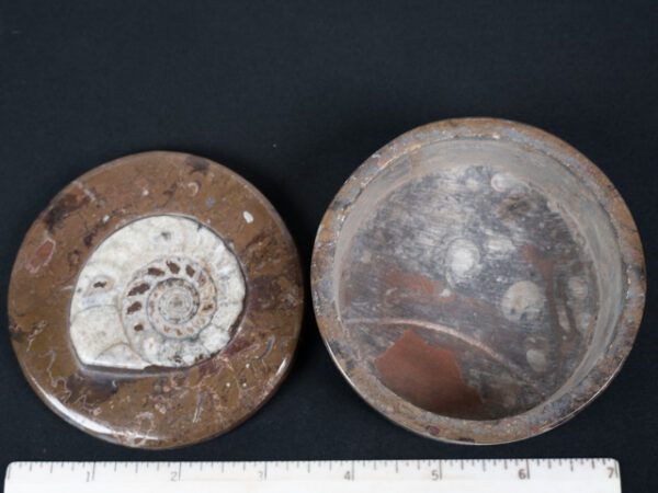 FOSSIL188