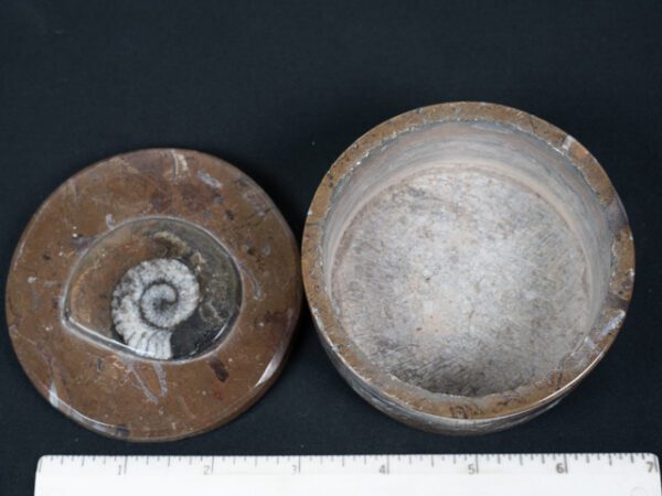 FOSSIL191