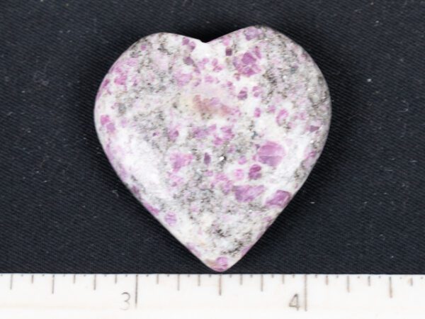 HEART113