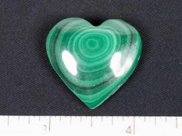 HEART124
