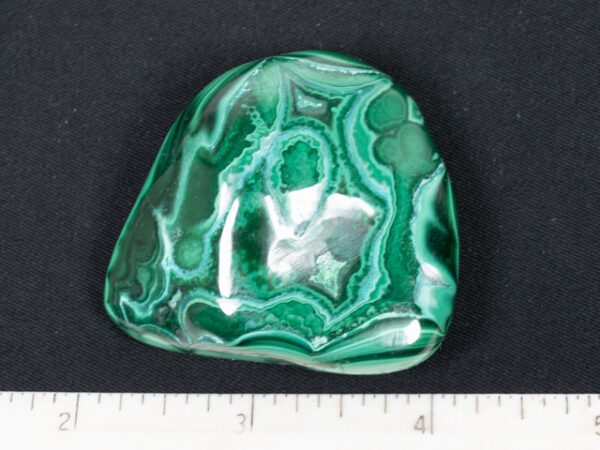 MAL137