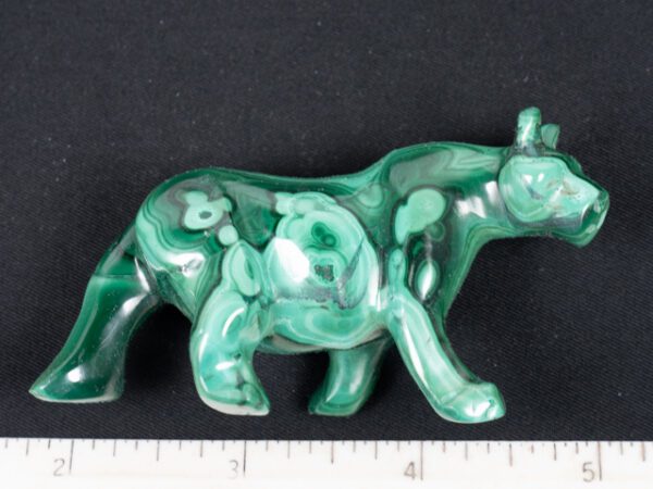Malachite Big Cat