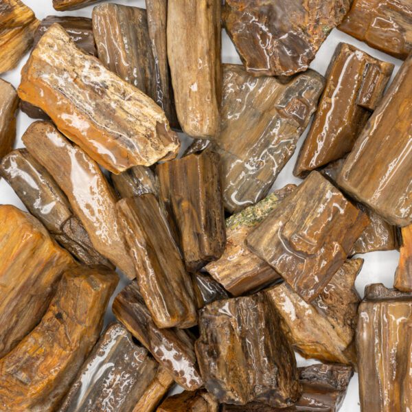 Petrified Wood Tumbling Rough (Per LB)
