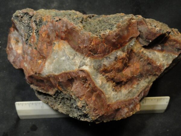 Condor Seam Agate Rough