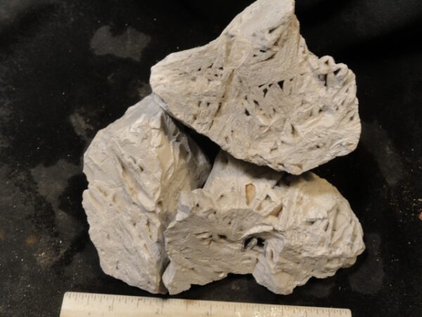 Lattice Lace Agate Rough