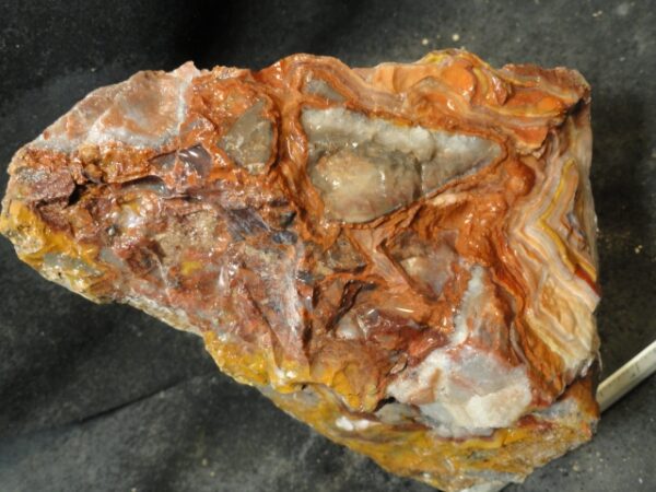 Crazy Lace Agate Rough