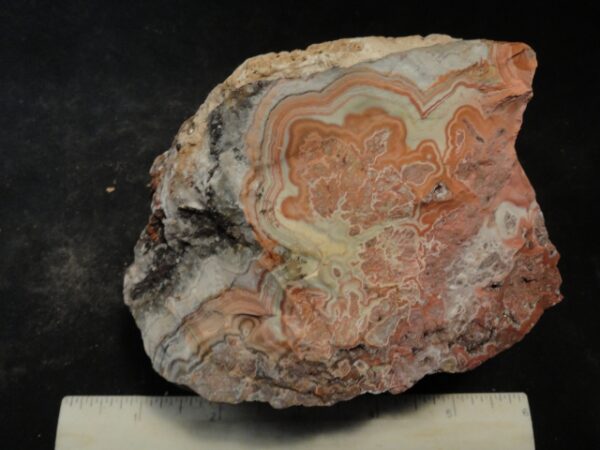 Crazy Lace Agate Rough