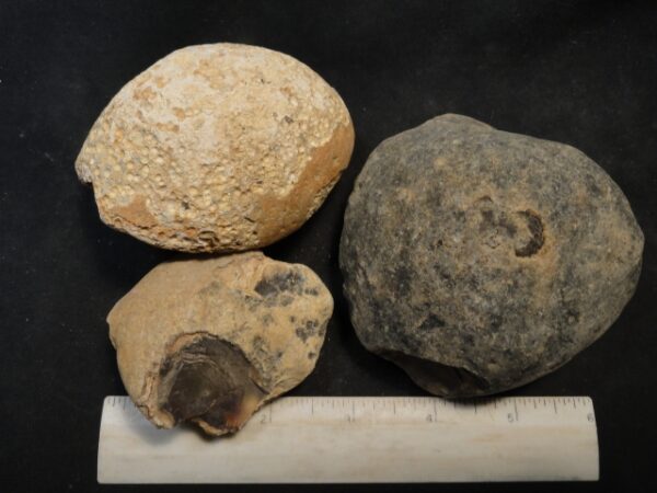 Brazilian Agate Nodules