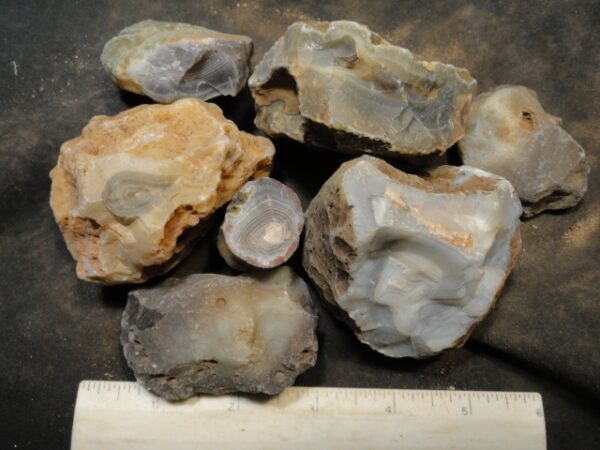 Botswana Agate Nodules