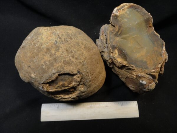 Brazilian Agate Nodules
