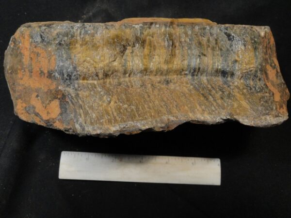 Tiger Eye Rough