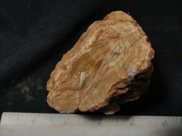 Moroccan Agate Nodule