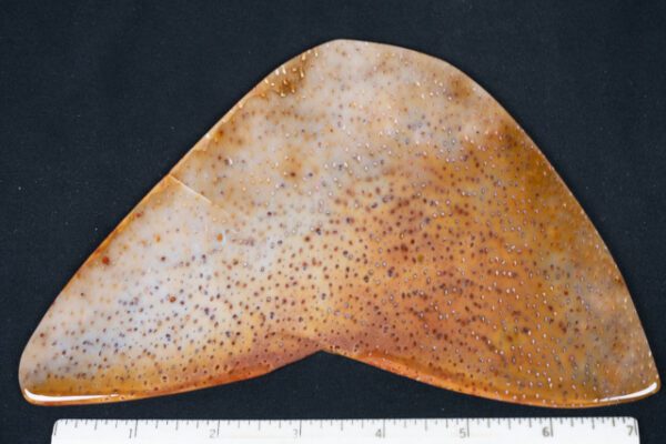 SLAB163