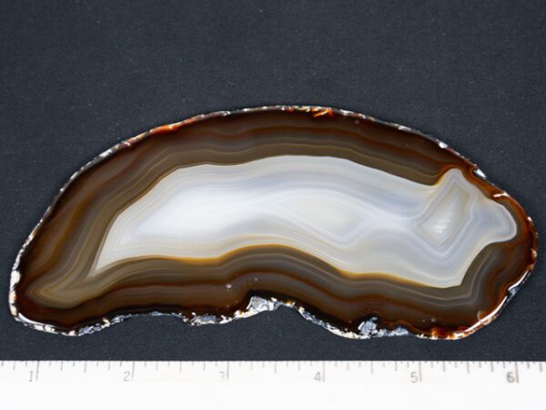 SLAB166