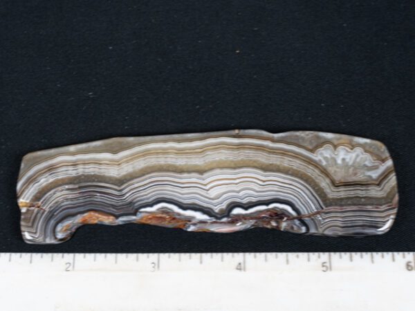 SLAB229