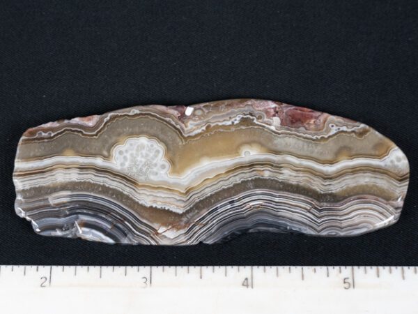 SLAB256