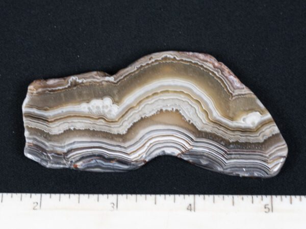 SLAB259